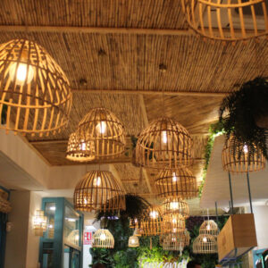 Modern Hanging Pendant Light
